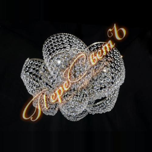 20506 Космос Бутон, 5л, d-510