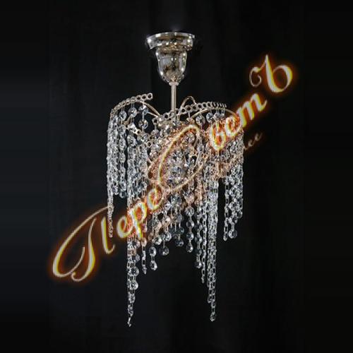 Виноград 1л