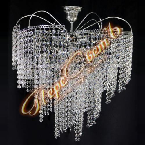 Виноград 6л, высота 65