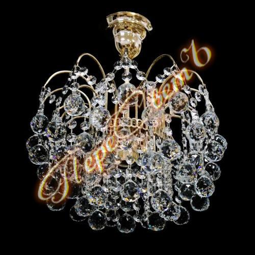 Акация Монро диаметр 30 см, 1л